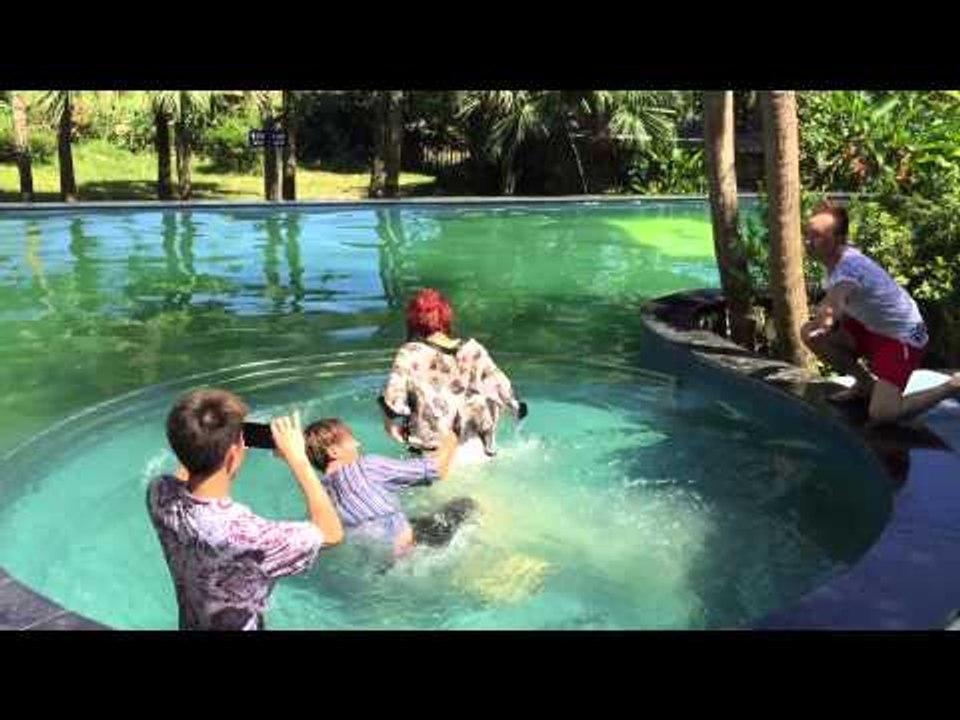 5S Online - trích đoạn trong một tập sắp chiếu