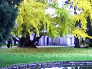 Conte musical n°11 HETRE OU NE PAS HETRE