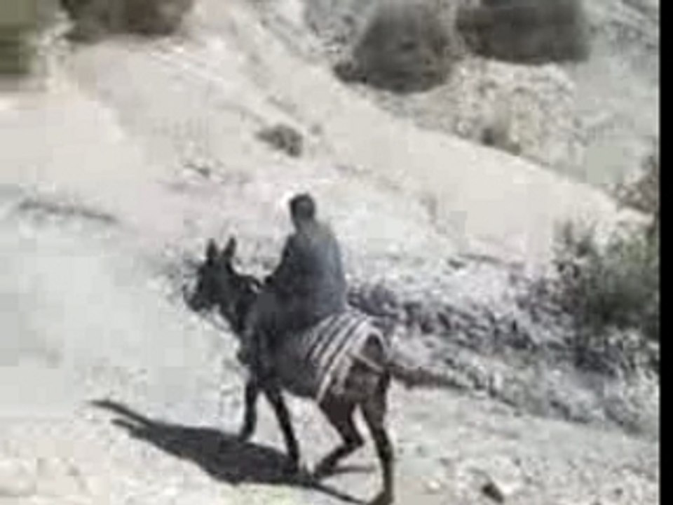 IKASSN SIDI AAMMR