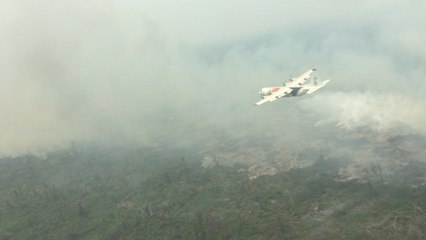 Bantuan Asing Usai, Indonesia Masih Butuh Bantuan Atasi Kebakaran Lahan?