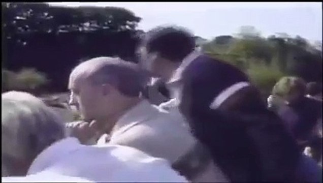 Un enfant tombe dans l'enclos à gorilles dans un zoo... Réaction magique du gorille