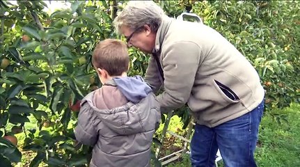 C'est combien un kilo de pommes en libre cueillette ?