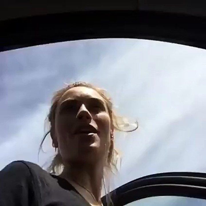 Hairs stuck in car