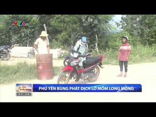 CHÀO BUỔI SÁNG - 28/10/2015