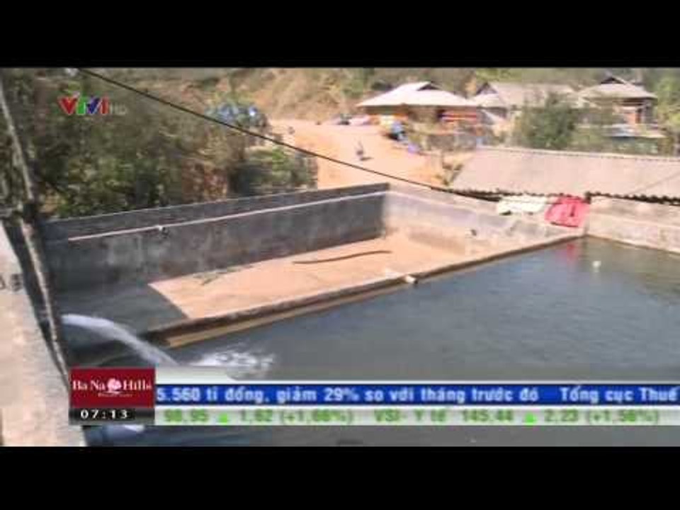 TÀI CHÍNH KINH DOANH: NGHỀ NUÔI CÁ NƯỚC LẠNH GẶP KHÓ KHĂN VÌ CÁ NHẬP LẬU (04/03/2015)