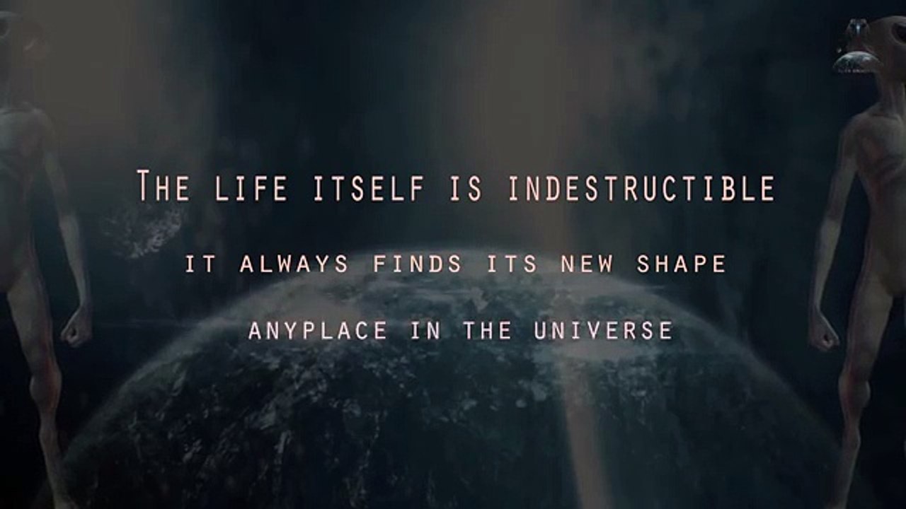 The Walk – Rêver Plus Haut