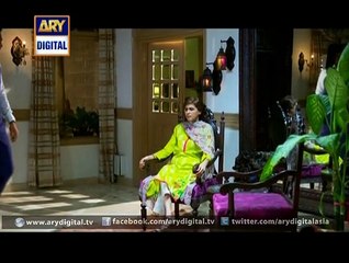 Mere Jevan Sathi Ep - 14 - 29 October 2015