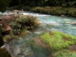 Rio Celeste laguna azul