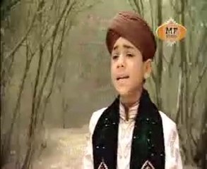 Ban Kay Saael Madinay No Jawan Gein Main By Farhan Ali Qadri *VIDEO*