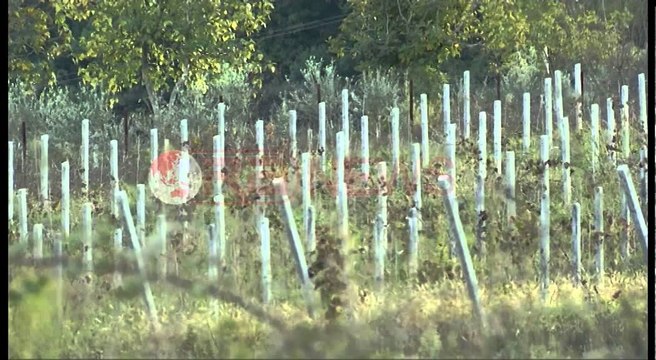 Tiranë-Ndroq-Plepa, Amortizimi i rrugës pengon prodhimet në tregje- Ora News- Lajmi i fundit-