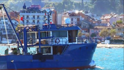29 EKİM YELKEN YARIŞLARI