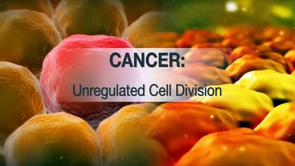 Cancer Unregulated Cell Division
