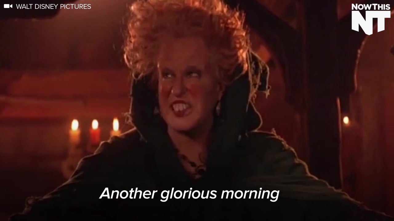 It's Time To Binge Watch 'Hocus Pocus'