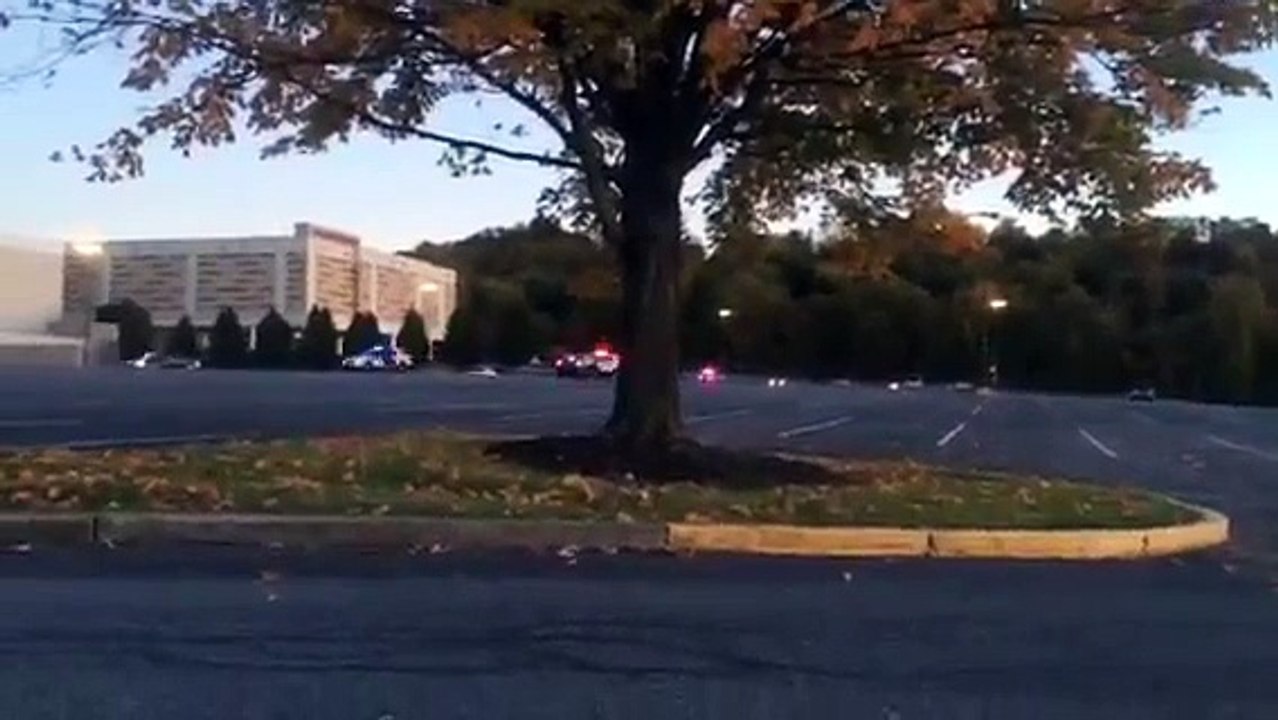 Pennsylvania woman evades 7 police squad cars by driving around in circles in a parking lot