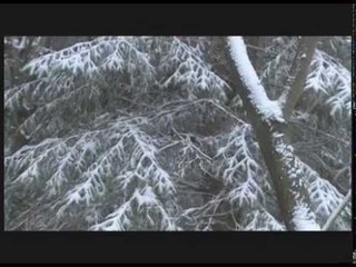 Hai phía chân trời