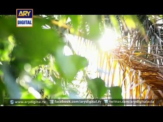 Guriya Rani Ep - 107 - 29th October 2015