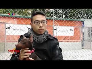 CAFE SÁNG: PHẪU THUẬT THẨM MỸ CHO CHÓ (12/02/2015)