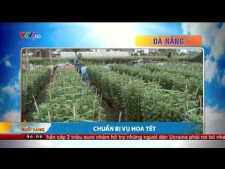 Chào buổi sáng  -  02/02/2015