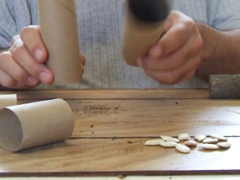 Seed sprouting using garden Tutu