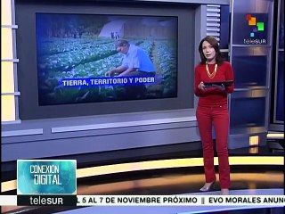 Activistas llaman a la reflexión sobre los daños de los transgénicos