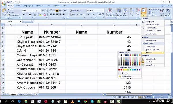 006 Ms Excel Home menu Cells Editing in Urdu and Hindi