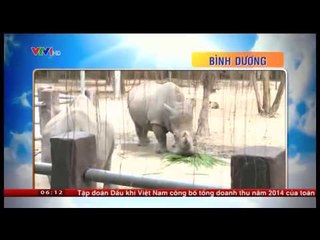 Chào buổi sáng - 31/12/2014