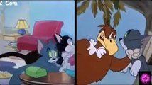 Tom and Jerry[phim hoạt hình vui nhộn Cartoon[ hoat hinh chuot va meo[ p7