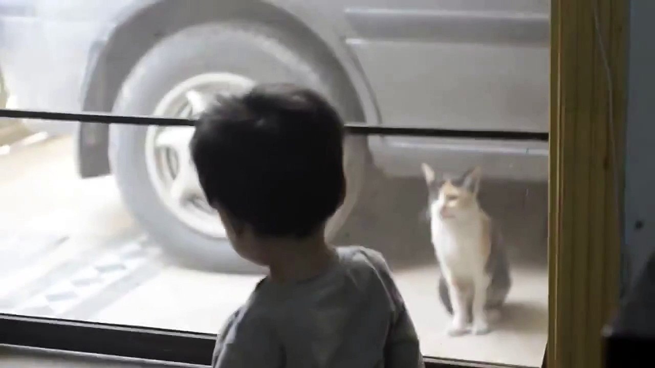 This young boy and his cat seem to understand each other perfectly