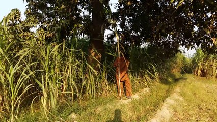 DON ka Hoor Choopoo Programe