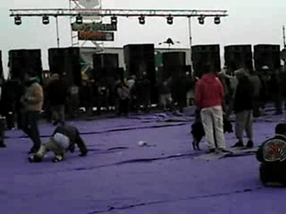 Teknival toul n°1 acolytes recrea circu