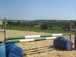 Stage vac avril 2 047