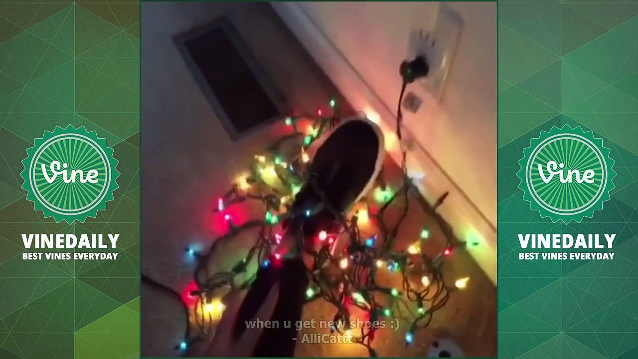 Hilarious Vines!