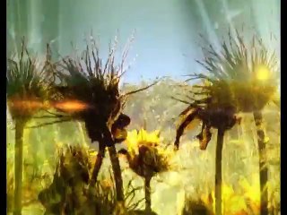 Indus Vision Sunshine Morning 25-12-2015 part 04