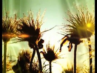 Indus Vision Sunshine Morning 25-12-2015 part 05