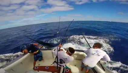 Lucky Fishermen Escapes A Near Death Experience With An Angry Marlin