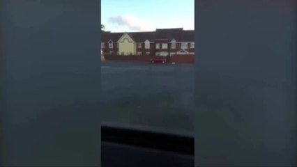 Lazy dog owner uses CAR to take his pet for a walk