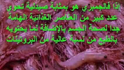 فوائد الجمبرى لتقوية العظام