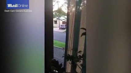 Neighbours offer hilarious commentary on reversing car