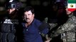 El Chapo captured in Mexican marine raid on Sinaloa Cartel safehouse