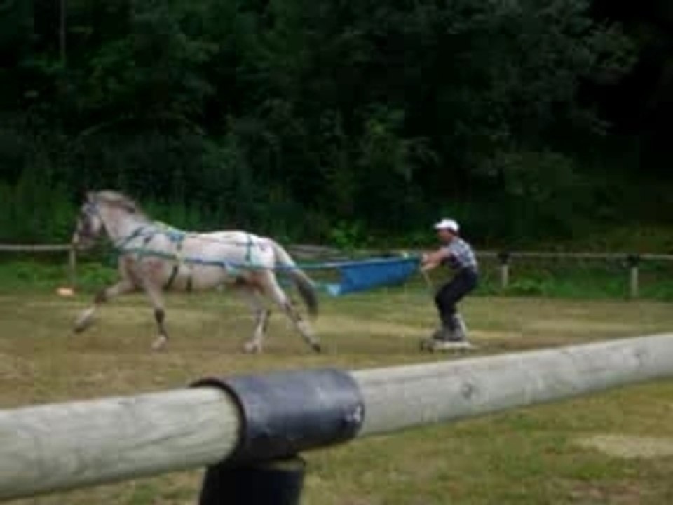 Spectacle 1600 Ski joering