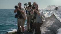 Man plays Tennis on Whale's Back for new crazy Old Spice Commercial