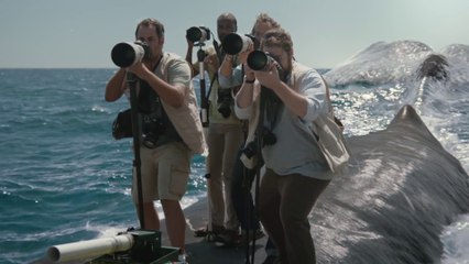 Man plays Tennis on Whale's Back for new crazy Old Spice Commercial