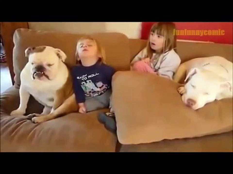 Best funny animal _ Epic Funny Animals Compilation Best top-2016