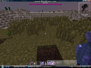 mega ryba