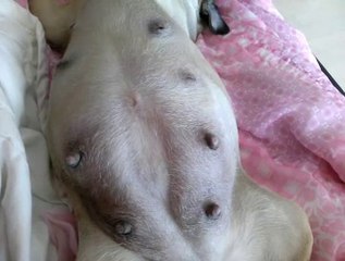 ₣성남출장안마【OIO↔6831↔4885】₣성남출장마사지㎧분당출장안마 ₳ 출장안마서비스 socc