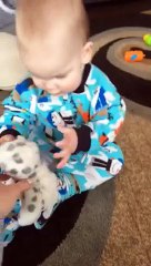 Descargar video: Un bébé plié de rire en regardant son chien jouer... Trop mignon