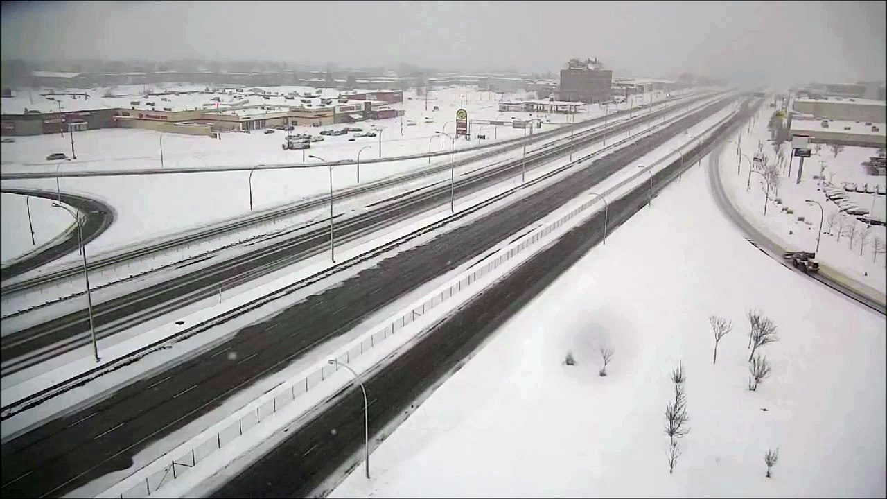 Magnifique chouette des neige filmée par une caméra de surveillance d'autoroute au canada