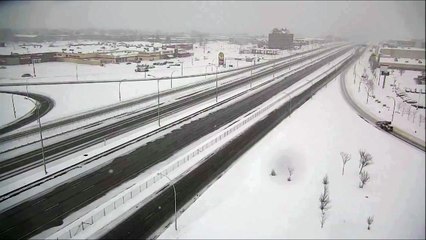 Magnifique chouette des neige filmée par une caméra de surveillance d'autoroute au canada
