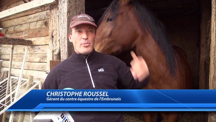 D!CI TV : Les jeunes pousses du centre équestre de l'Embrunais en Gala au Salon du Cheval d'Avignon