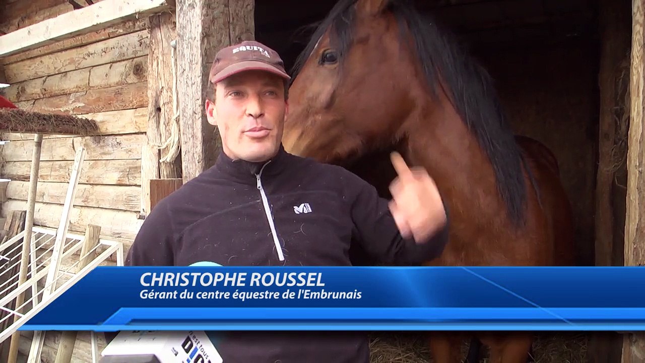 D!CI TV : Les jeunes pousses du centre équestre de l'Embrunais en Gala au Salon du Cheval d'Avignon